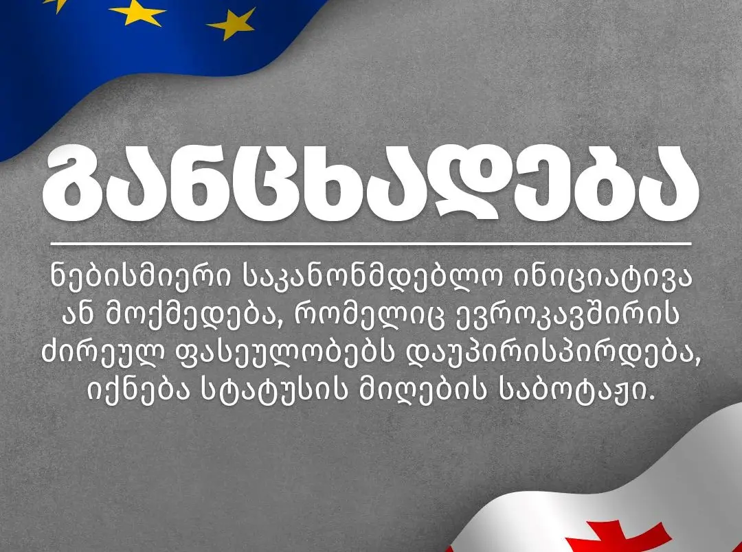 სამოქალაქო საზოგადოების მიმართვა ხელისუფლებას
