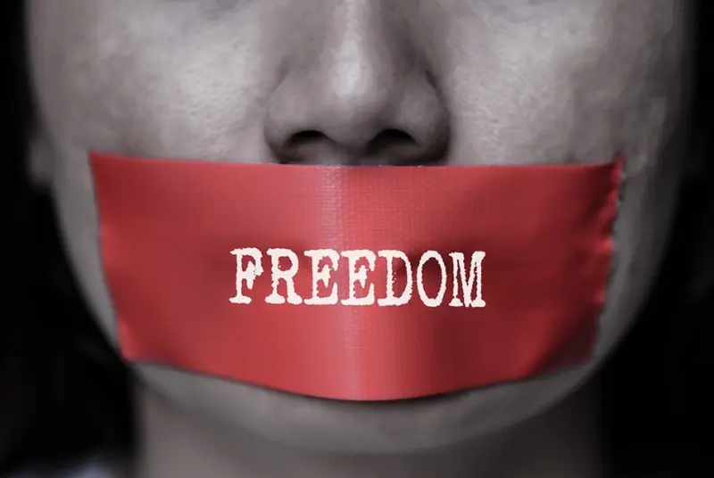 კანონი „ყალბი ინფორმაციის წინააღმდეგ“ - რეალური საფრთხეების აღმოფხვრის