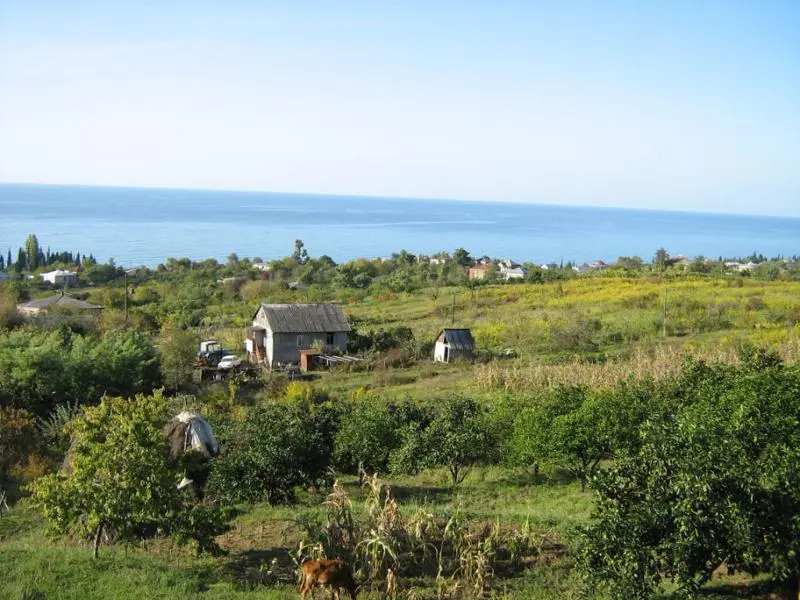 К вопросу “гармонизации”: дай абхазам Боже, что россиянам негоже?