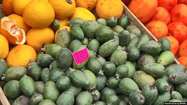 Сигнал абхазских предпринимателей получен – Тбилиси к сотрудничеству и