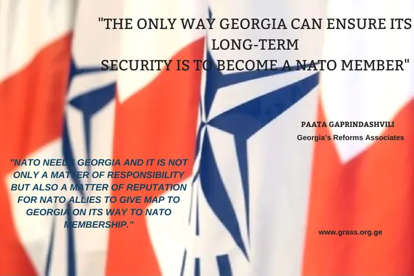 The Only Way Georgia Can Ensure its Long-Term Security is to Become a 