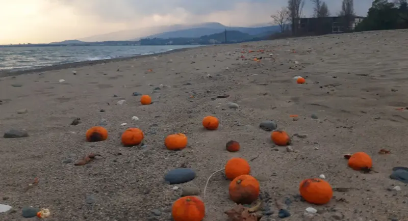 Кто и почему в Абхазии за, а кто против вечного рабства