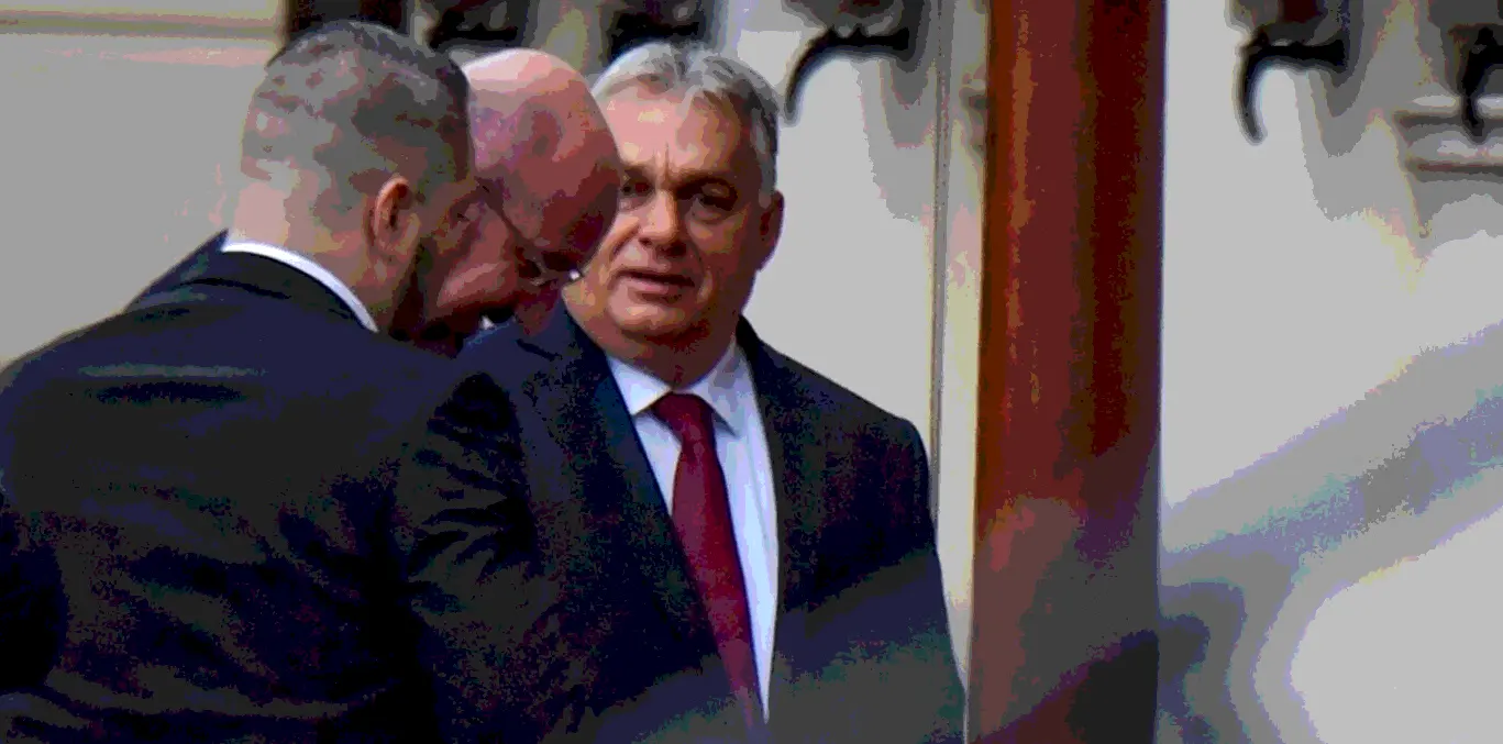 GRASS Disinfo Brief  -  December 6 – December 11