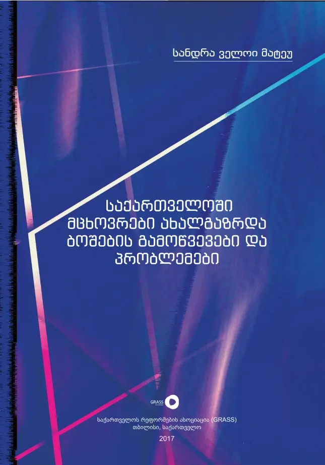 საქართველოში მცხოვრები ახალგაზრდა ბოშების გამოწვევები და პრობლემები