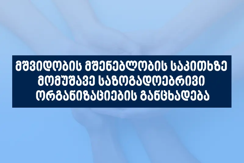 მშვიდობის მშენებლობის საკითხზე მომუშავე საზოგადოებრივი ორგანიზაციების 