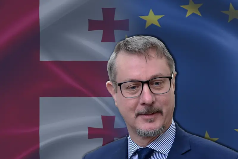 სამოქალაქო საზოგადოების წერილი საქართველოში ევროკავშირის ელჩს, კარლ ჰა