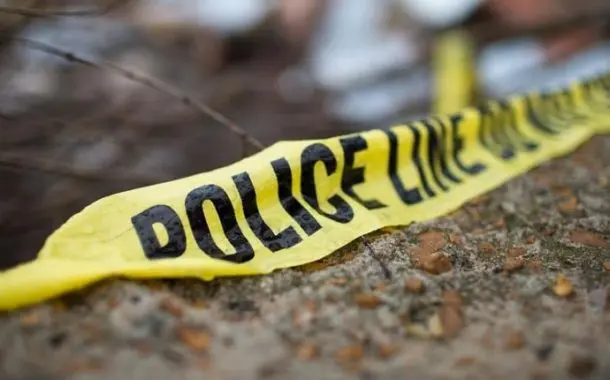 რას გვეუბნება რეგისტრირებული დანაშაულის შემაშფოთებელი რაოდენობა ქვეყან