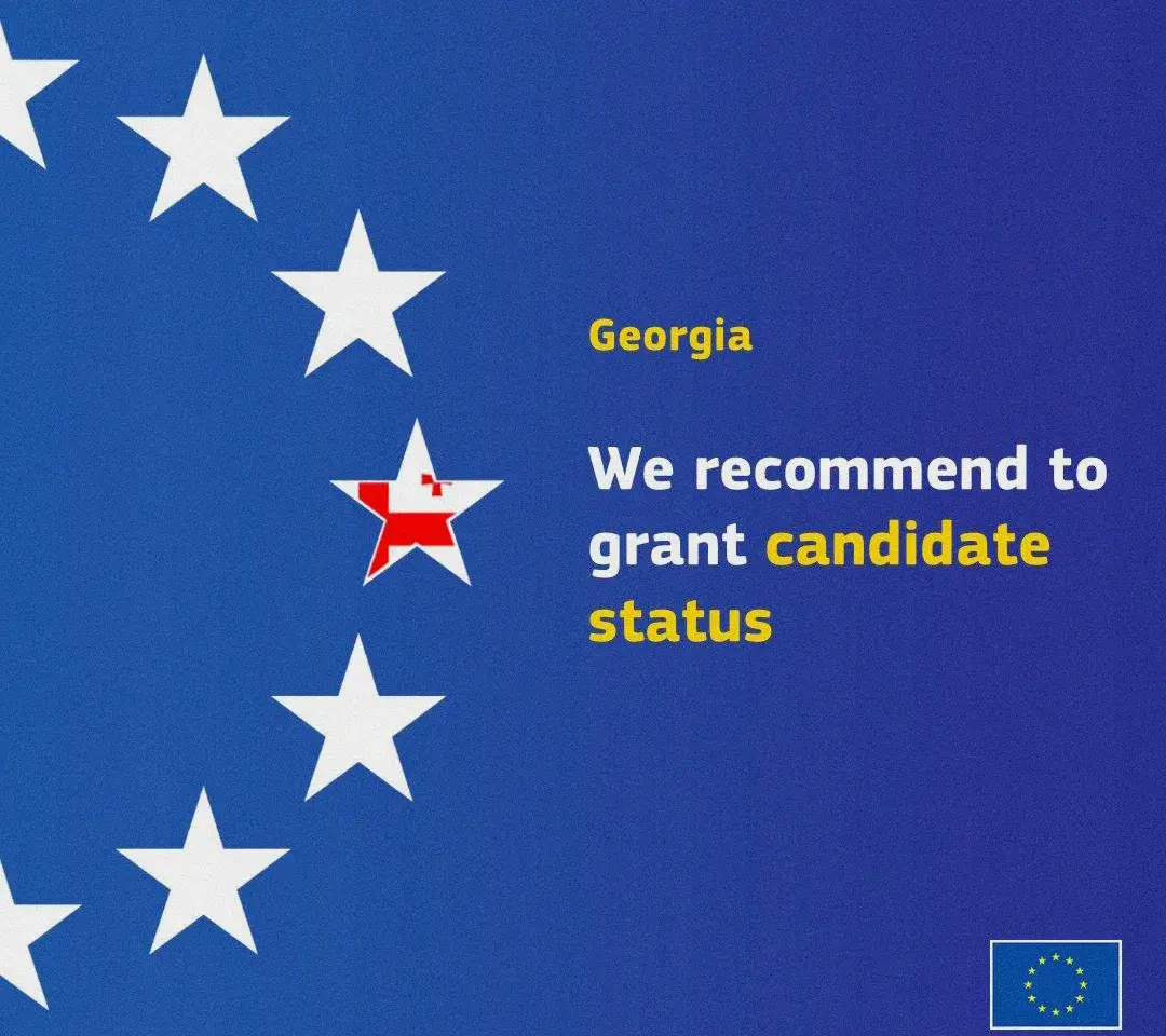 გრასის დეზინფორმაციის ბრიფი - 31 ოქტომბერი - 6 ნოემბერი