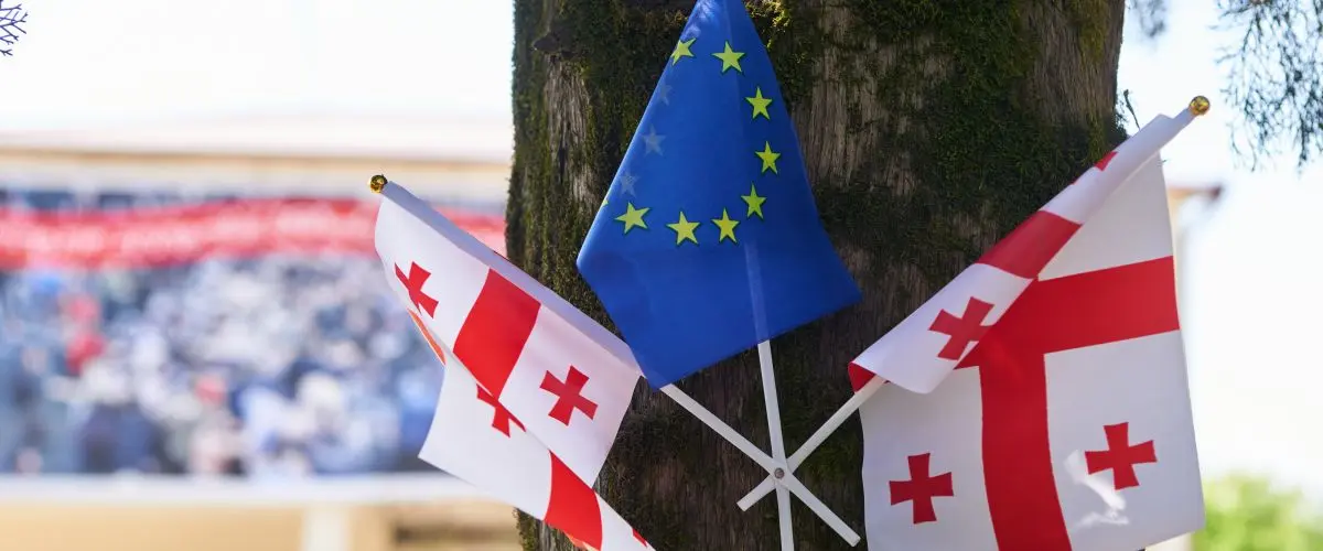 აღმოსავლეთ პარტნიორობის მიმართ ევროკავშირის ქმედითი სტრატეგიაა საჭირო
